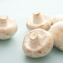 11800    five white mushrooms