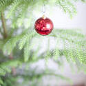 8669   Single red bauble hanging on Christmas tree