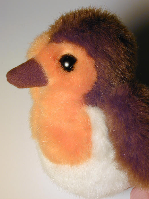 Close up side view of the red breast and head of a soft stuffed toy robin, one of the most popular songbirds in the UK