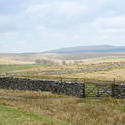 7779   Rural English landscape