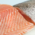 8448   Fresh salmon steak textures
