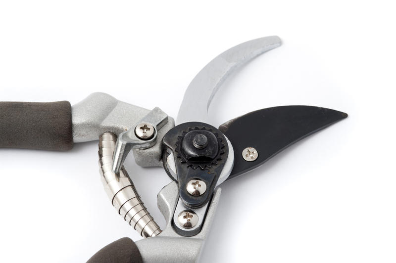 Pair of sharp garden pruning shears or secateurs on a white background showing the metal spring and open blades