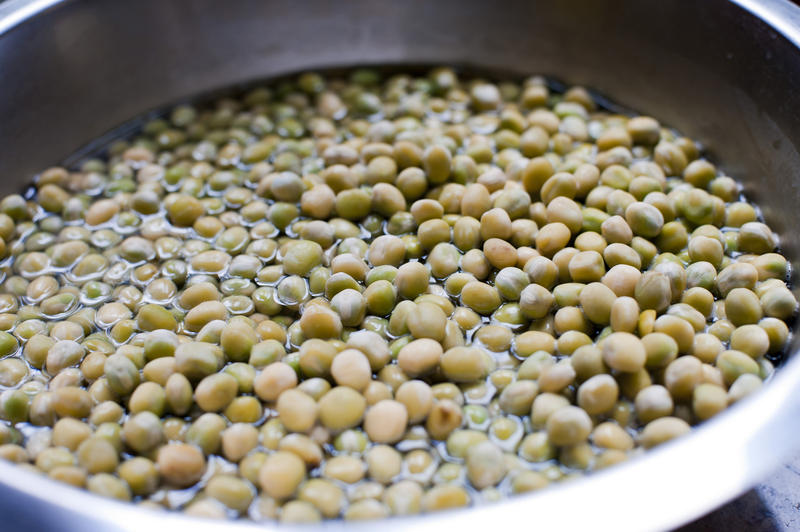 Close up Healthy Fresh Green Mung Beans Soaked in a Water on an Aluminum Basin