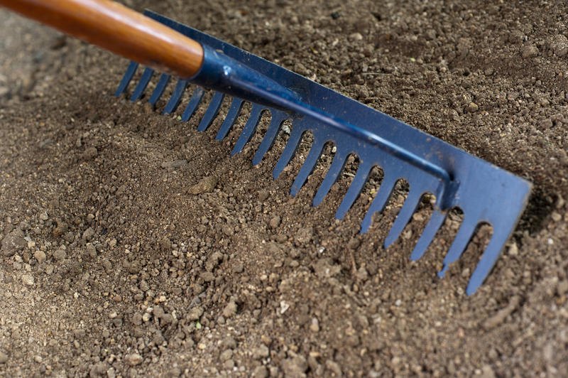 Raking the soil in a flowerbed in a garden with a fine toothed metal rake to prepare and level it for planting seeds and seedlings