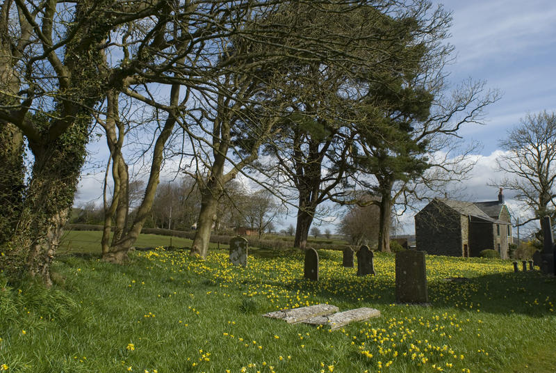 Country village churchyard with scattered headstones on a grassy field with spring flowers under trees and a quaint old stone church visible in the distance behind
