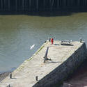 8023   Tate Hill Pier in Whitby harbour