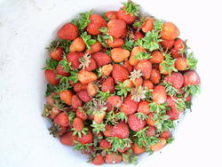 8381   strawberries