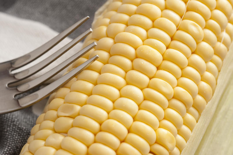 Fresh uncooked sweet corn on the cob in a close up diagonal view on the kernels in a healthy eating and diet concept