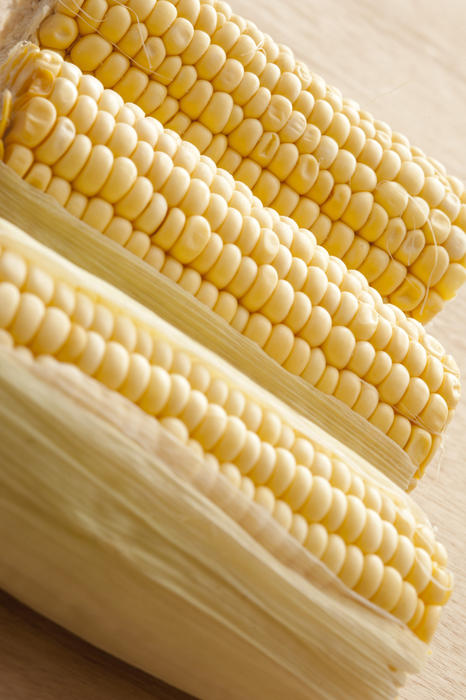 Three fresh uncooked dehusked sweet corn on the cob ready to be prepared for a delicious snack or vegetable accompaniment to a meal, close up view in an oblique row