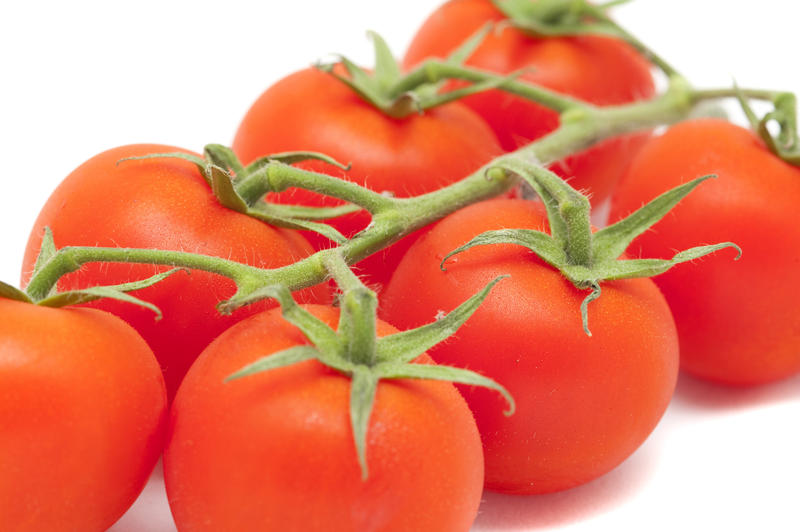 Close up Seven Healthy Fresh Read Tomatoes on a Stem Isolated on White Background.