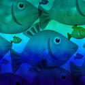9630   underwater fish