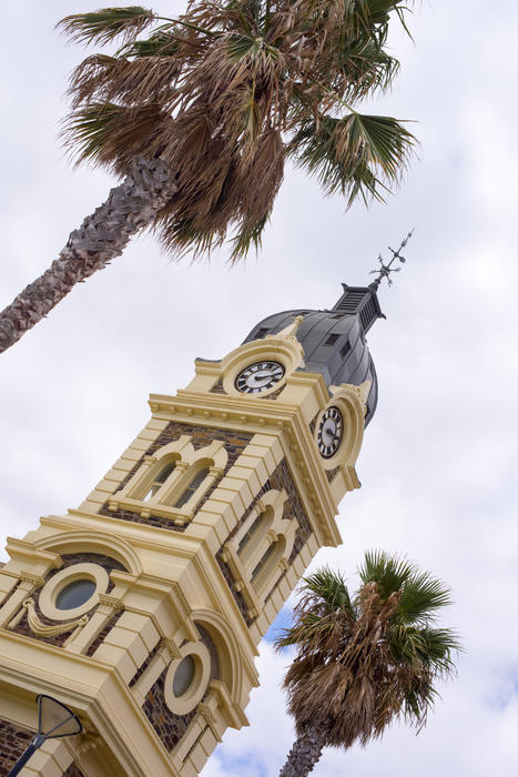 Tilted angle view of the clock tower on the Town Hall in Glenelg, South Australia flanked by two tropical palm trees