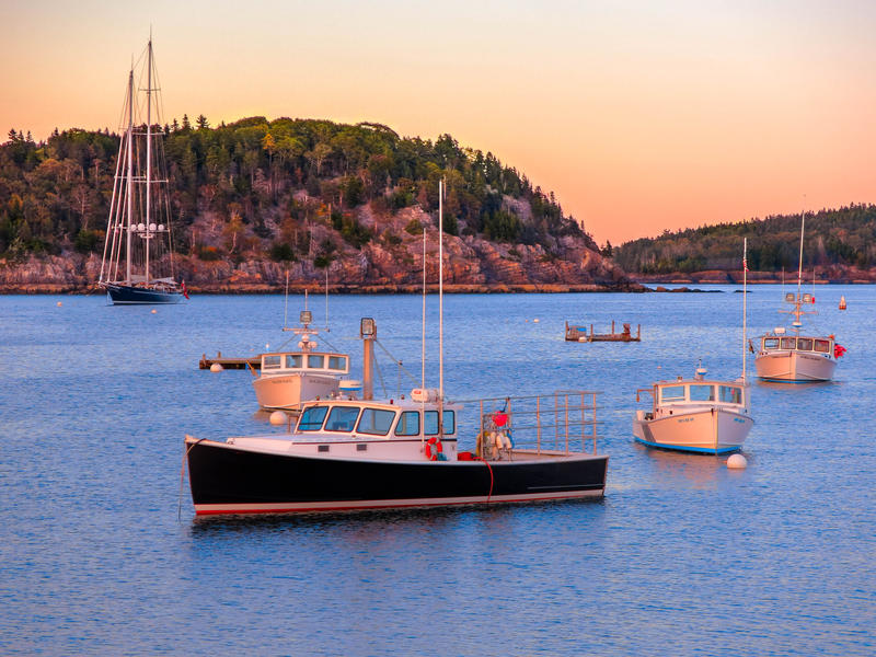 <p>Boats in the harbor late afternoon, Bar Harbor Maine.</p>

