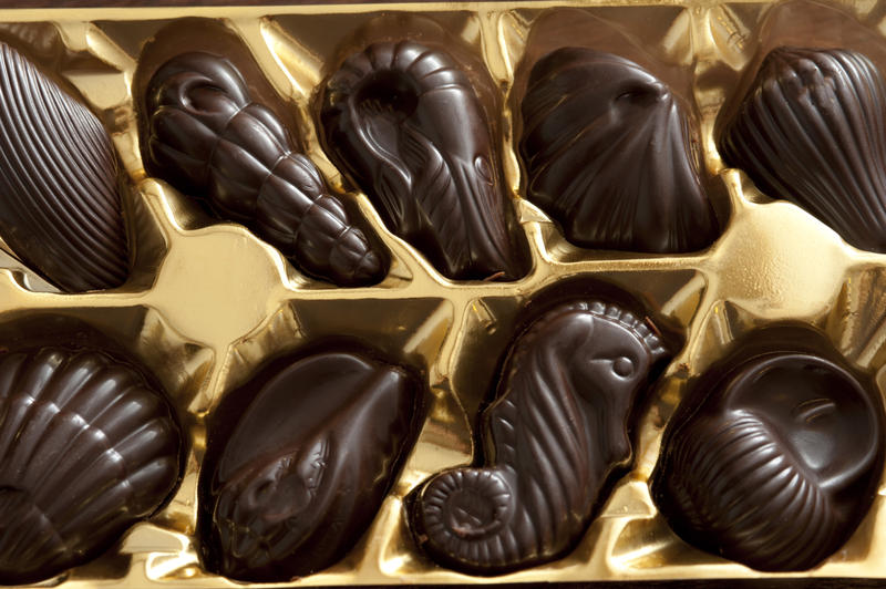 Assortment of dark marine shell shaped chocolates with a sea horse in their original packaging in a close up overhead view