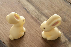 13442   Two little white milky bunnies