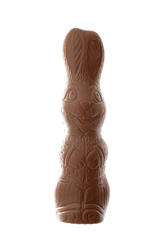 13468   Chocolate Easter bunny