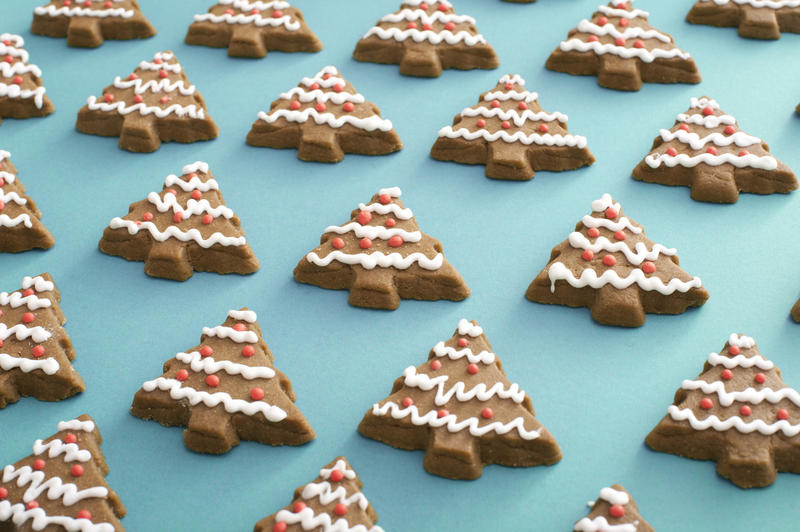 Iced gingerbread Christmas tree cookie background neatly laid out on a blue background in a high angle view
