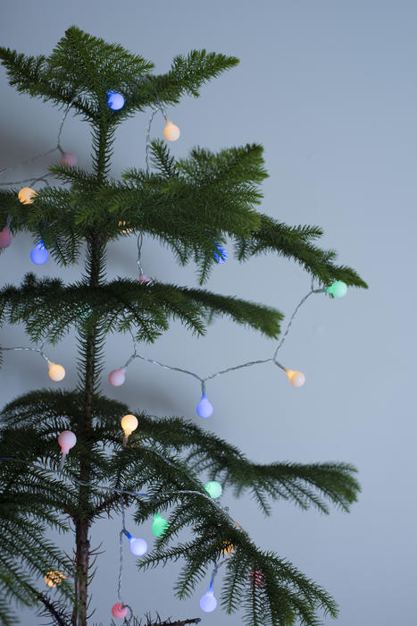 Natural pine Christmas tree with simple colored lights for decoration over a grey background