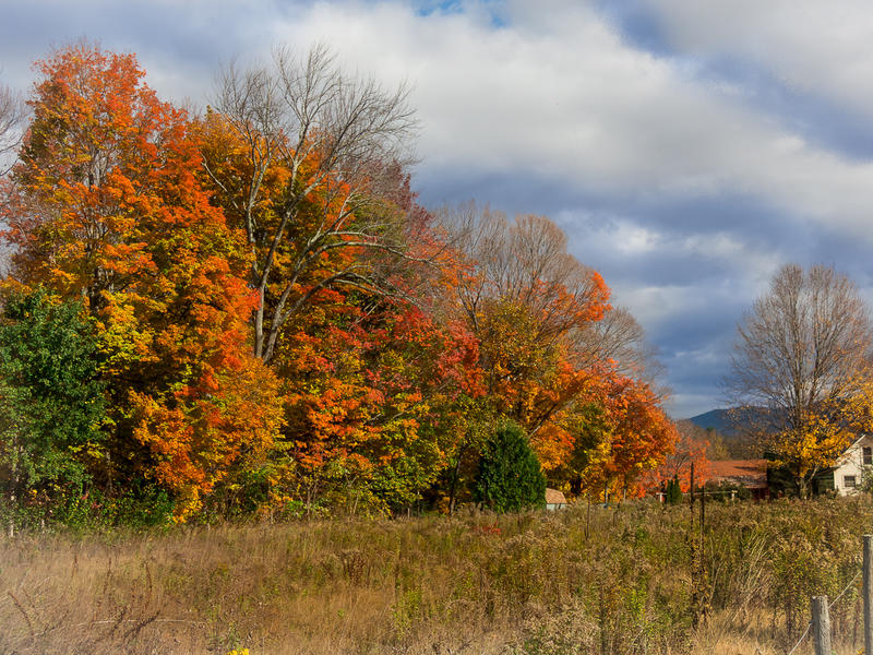 <p>Typical Autumn day in Vermont.</p>
