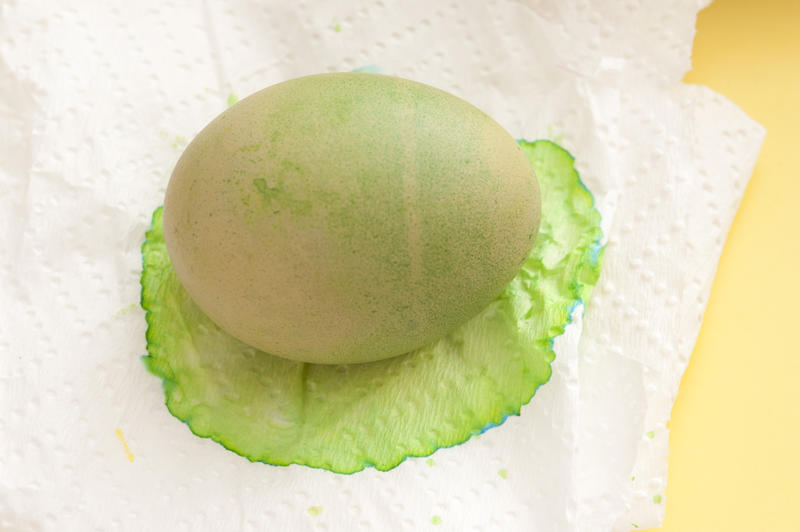 Traditional homemade dyed green Easter egg drying on white paper towel to celebrate the holiday season