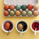13446   Preparing dyed colored Easter eggs