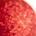 11924   Festive Red Glitter Ball on White Background