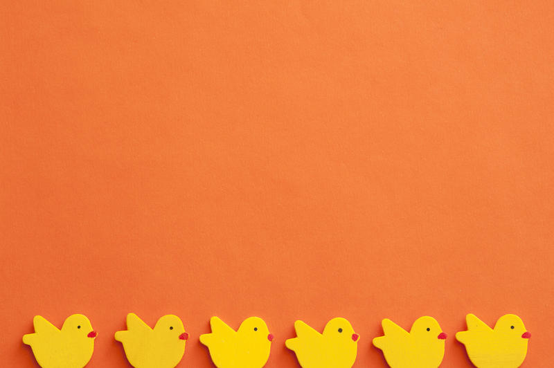 Orange Easter background concept with small figures of yellow chicks row and lots of orange paper copy space