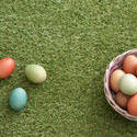 13453   Dyed Easter eggs on grass