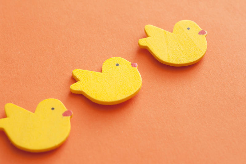 Background of colorful yellow Easter chicks arranged in a diagonal line on an orange background with copy space