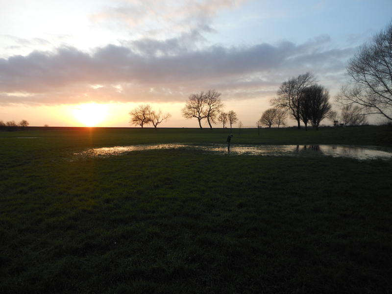 <p>The Broads in Norfolk UK frozen sunset in December</p>
