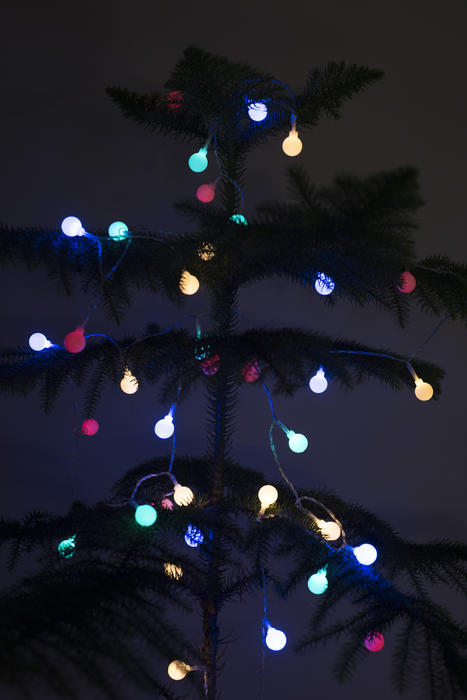 Colorful glowing lights on a natural pine or spruce Christmas tree in darkness for a festive holiday background