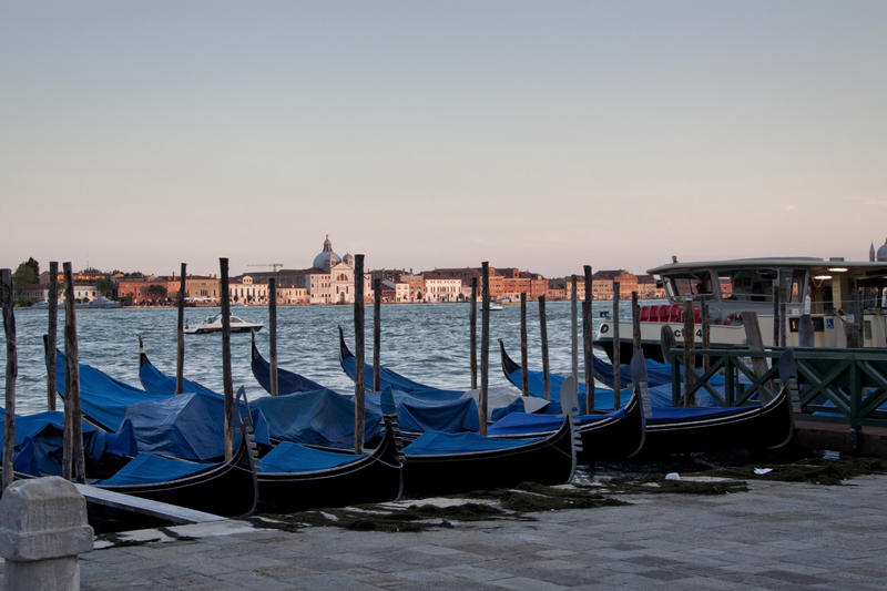 <p>Gondolas resting at sunset in Venice, Italy</p>
Gondolas asleep (shhhh)