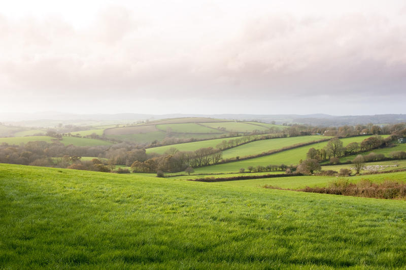 Scenic landscape view of rolling green hills with hedgerows and pastures on a misty day