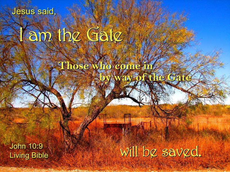 <p>Jesus is the Gate</p>
Ranch Gate in Texas, USA