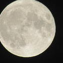 13058   large moon shot