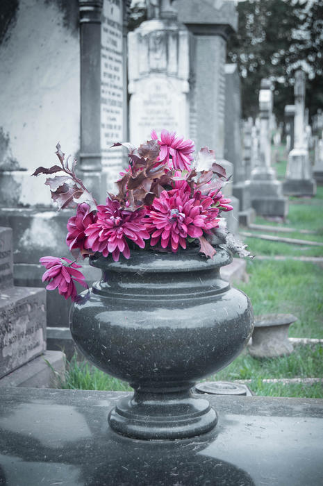 <p>Flowers on a gravestone.</p>

<p>Find more photos like this on my website.</p>
Flowers on a gravestone