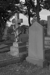 17046   Black and white photo of gravestones.