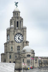 12827   Tall clock tower and domes on the Liver Building