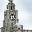 12827   Tall clock tower and domes on the Liver Building