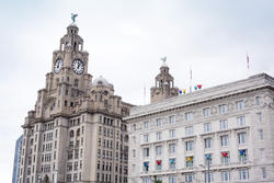 12828   View on top section of the Liver building