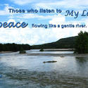 16929   Peace Like a River