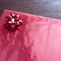 13503   Red present box with ribbon