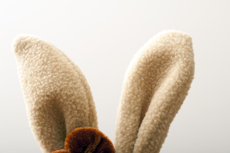 Close up of the ears of a soft plush toy Easter bunny listening over a white background with copy space