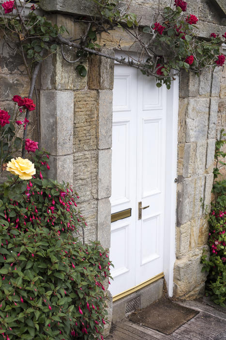 Various shrub and vine type roses growing around double door white stone block cottage doorway