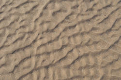 15568   Sand background
