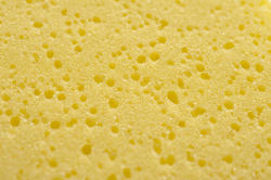 12687   yellow sponge with pock marks