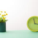 13464   Springtime concept with clock and flowers