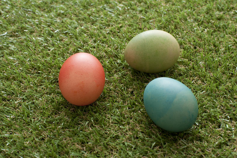 Three traditional homemade dyed Ester Eggs on green spring grass with copy space ready for the kids egg hunt