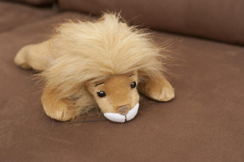 Single adorable brown stuffed toy lion laying down on sofa with face down