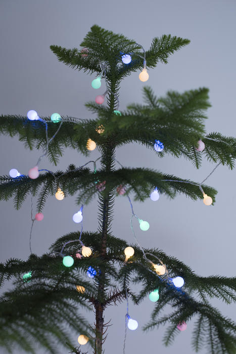 Sparkling round colorful Christmas lights on a natural green pine tree over a grey background for a simple festive celebration